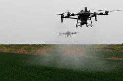 阜阳颍上鲁口镇：开展“一喷三防” 护航