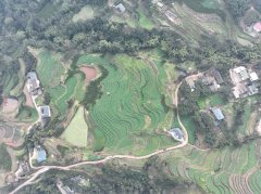 屏山县：农业无人机让山地农业“飞”起