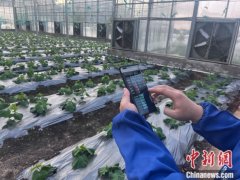 文旅财产+现代农业广西贺州焕发山乡新活